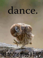 owldance.jpg